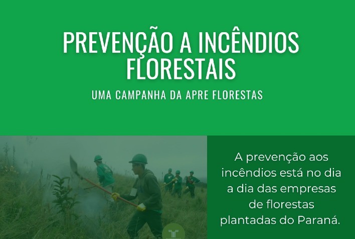 Setor florestal paranaense atua preventivamente para evitar incêndios florestais