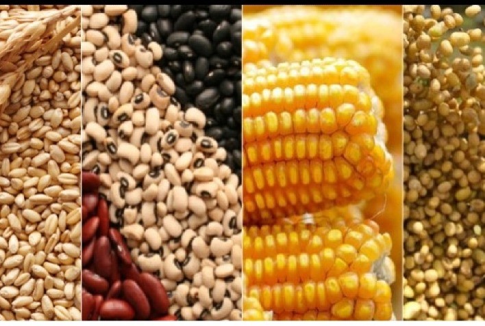 Preços de commodities é tema de debate entre CNA e Especialistas