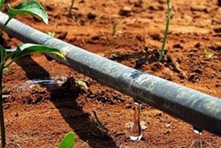 Com grande expectativa de crescimento da agricultura irrigada no Estado, Primeira Jornada de Irrigação acontece no Paraná