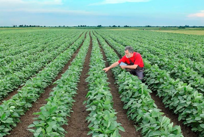 Fungicida Fox® Xpro ajuda produtor a colher 46 sacas de soja a mais por hectare