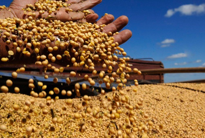 Soja: Mercado em Chicago opera em alta nesta 5ª feira com foco sobre Corn Belt
