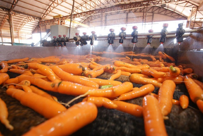 CNA discute autocontrole da defesa sanitária vegetal