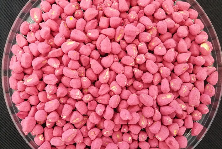 Tratamento de sementes realizado com insumos de qualidade potencializa a produção das lavouras