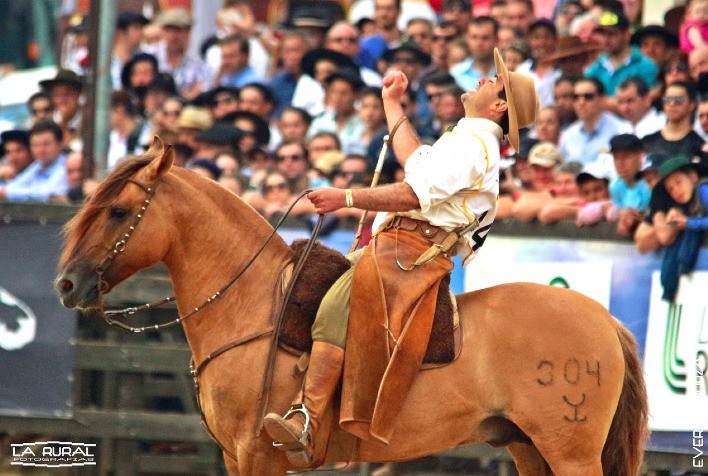 Saúde dos cascos é essencial para o sucesso dos cavalos crioulos, afirma tetracampeão do Freio de Ouro
