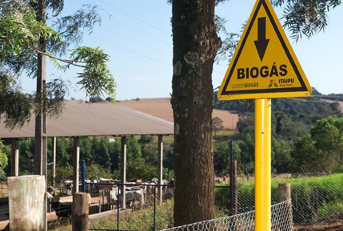 Biogás no Paraná: Entenda este promissor setor do Agro, por Larissa Milkiewicz
