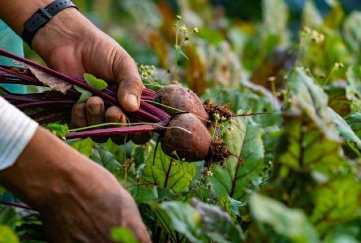 Secretaria da Agricultura de SC reforça apoio aos produtores rurais da Região Sul