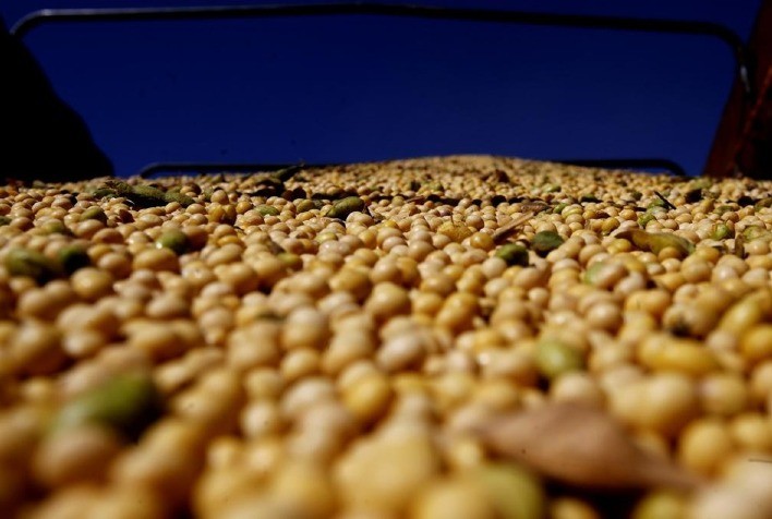 Custo da soja transgênica em Mato Grosso sobe 2,3%