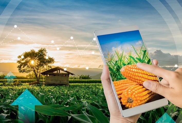 HughesNet cria iniciativa para ajudar agricultor familiar