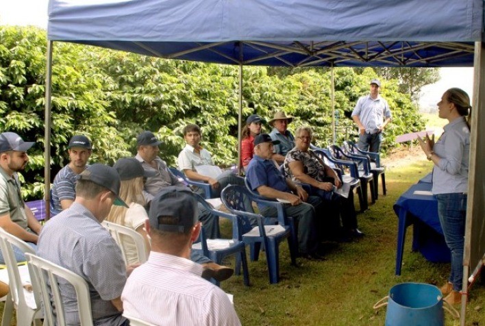 Dias de Campo Online da Fundação Procafé serão realizados em 3, 4 e 5 de agosto