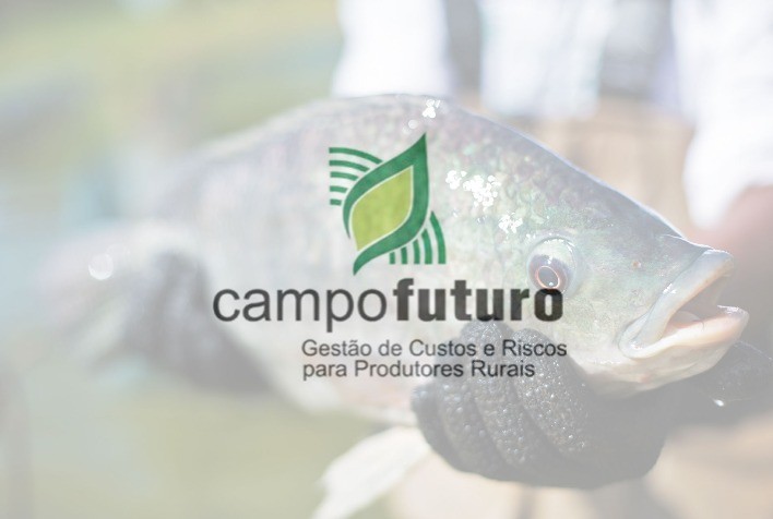 Campo Futuro levanta custos de produção em nove estados
