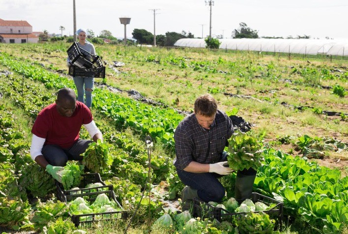 Mapa prepara novo cadastro nacional para registro de agricultores familiares
