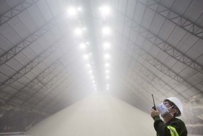 A versatilidade do açúcar no mercado brasileiro