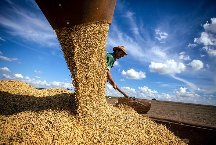 Brasil tem potencial para atingir safra recorde de soja 2021/22