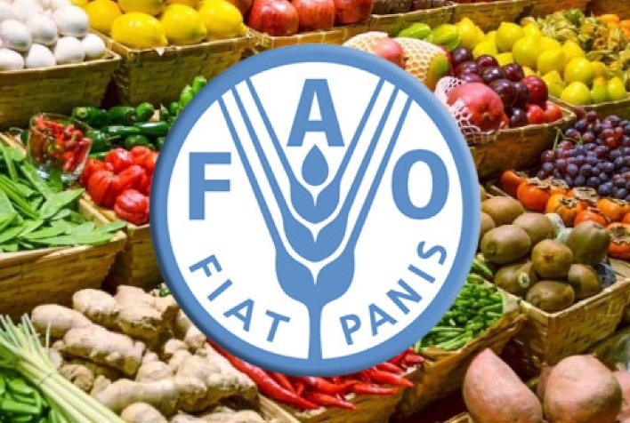 Preços dos alimentos no mundo caem pelo segundo mês em julho, diz FAO