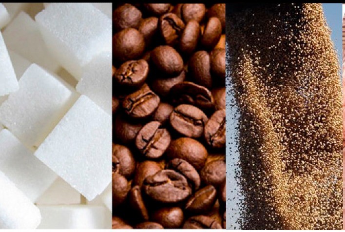 Estão disponíveis as agromensais de JULHO/2021 do Cepea