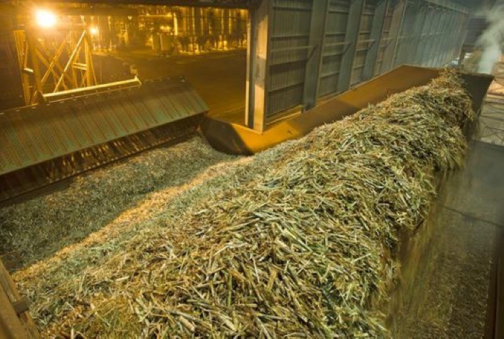 Moagem da cana do Centro-Sul deve cair 10% após geada, diz StoneX