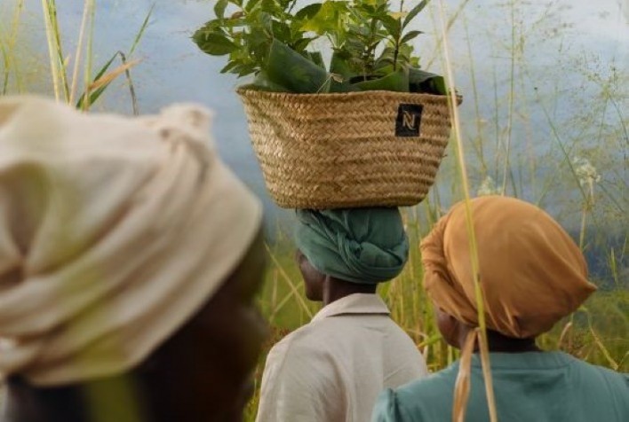 Reviving Origins | Nespresso investe em revitalização de cultura cafeeira em Uganda, Zimbábue e Colômbia
