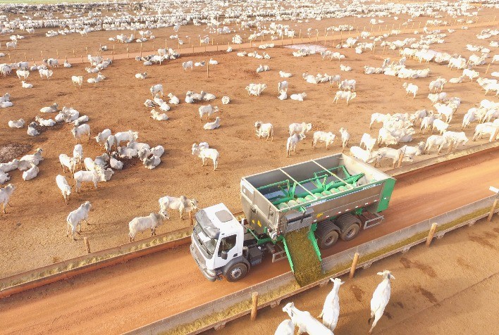 Confina Brasil 2021 segue em expedição em Rondônia, Mato Grosso e Pará, fazendo um raio-X da pecuária intensiva no país