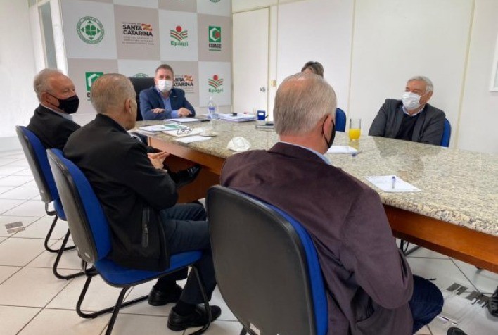 Agronegócio catarinense busca alternativas para o abastecimento de milho