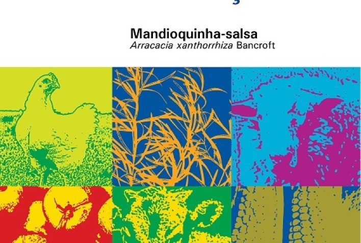 Publicação traz inovações no sistema de plantio de mandioquinha-salsa