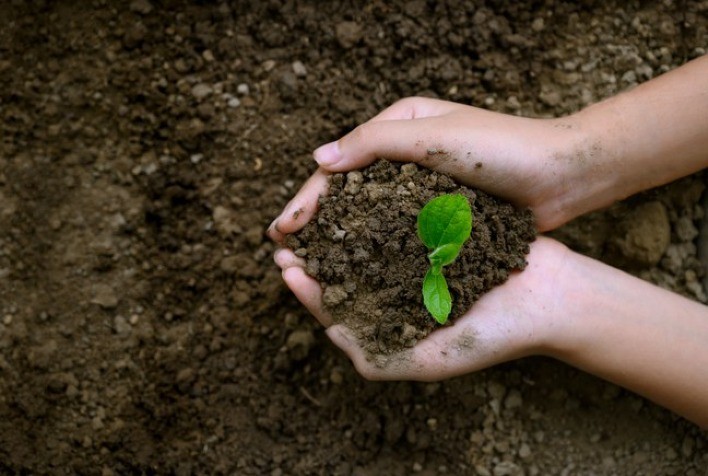 Brasil adere aos biodefensivos e bioestimulantes