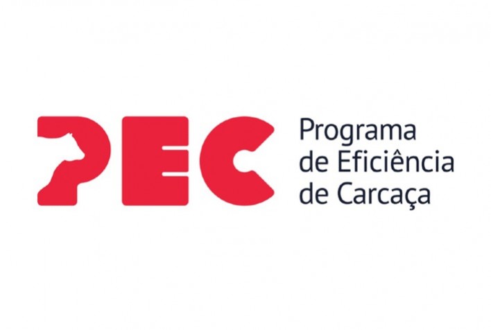 Abates para o Programa de Eficiência de Carcaça (PEC) 2021 terminam em 31 de agosto. Podem participar pecuaristas de SP, GO, MG e TO
