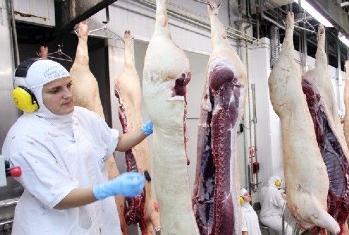 Exportações de carne suína alcançam 102,7 mil em julho