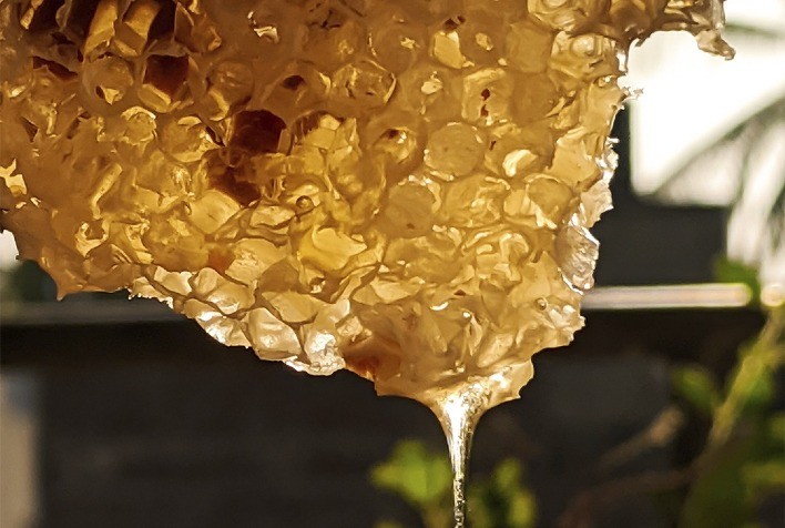 IMA lança campanha de regularização do mel e derivados