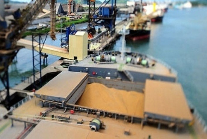 Participação do agro nas exportações goianas supera 85% em julho