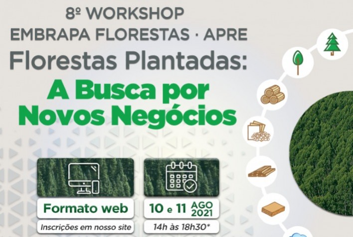 Workshop Apre/Embrapa Florestas vai discutir a busca por novos negócios no setor florestal