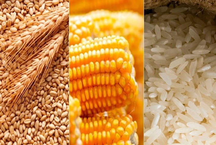 Conab prevê produção de grãos em 254 milhões de toneladas impactada por clima adverso