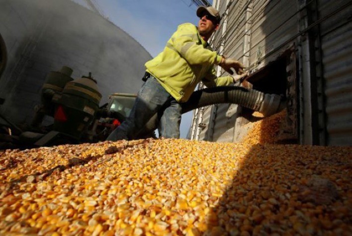 Produção de etanol de milho deve crescer em Mato Grosso