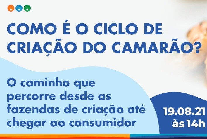 O camarão cultivado é um bom exemplo do quanto o Agro inovou e evoluiu nas últimas décadas