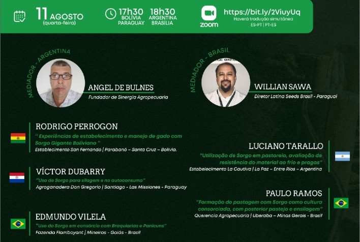 Com insumos caros e pouca chuva, como alimentar o boi?