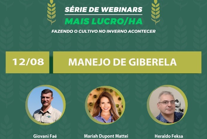 Manejo de giberela no webinar da Embrapa Trigo