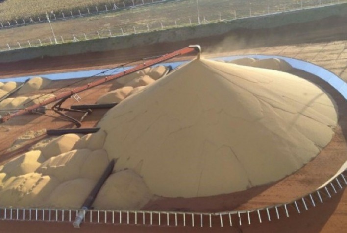 Venda da safra 2021/22 em Mato Grosso chega a 37% e preço médio melhora 2,5%