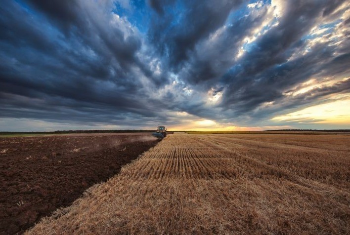Pesquisa de campo na PB avalia lavouras de grãos do estado