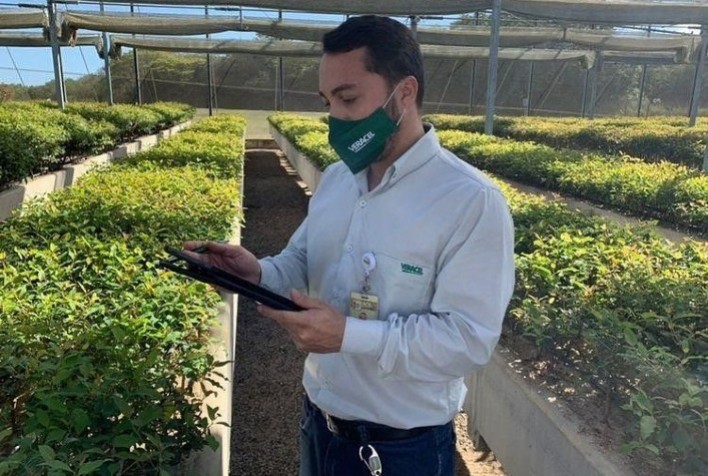 Veracel amplia o uso de tecnologias de gestão em seu viveiro de mudas