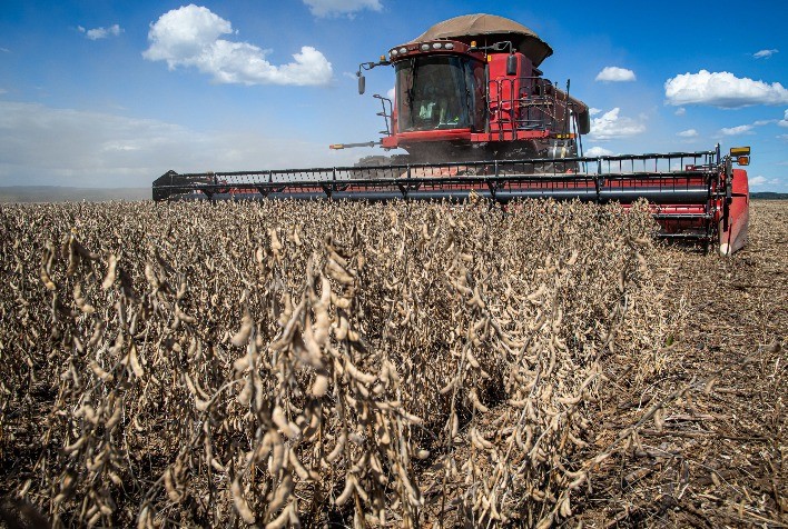Nem problemas climáticos impedem recorde no VBP da Agropecuária de Goiás, que deve superar R$ 92 bilhões
