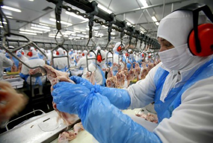 Carne de frango: evolução dos embarques volta a sinalizar volume igual ou superior às 400 mil/t em agosto