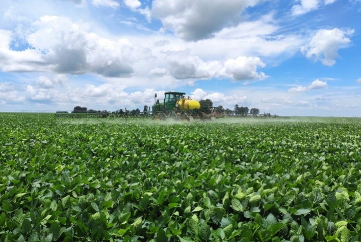 Fungicida multissítio da Sipcam Nichino está entre os mais eficazes para controle da ferrugem asiática