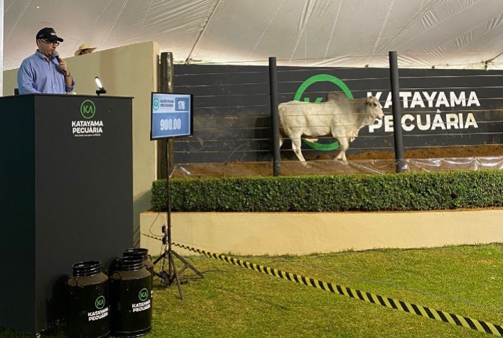 Katayama Pecuária realiza o maior evento comercial de genética bovina do Brasil