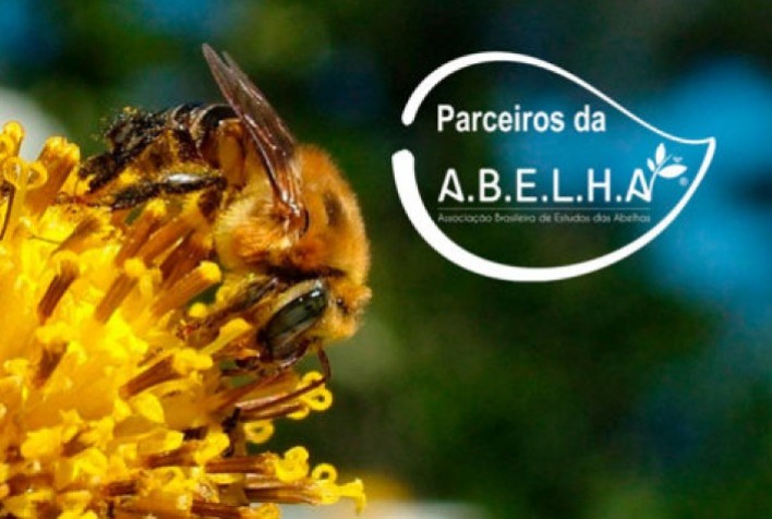 União pelas abelhas