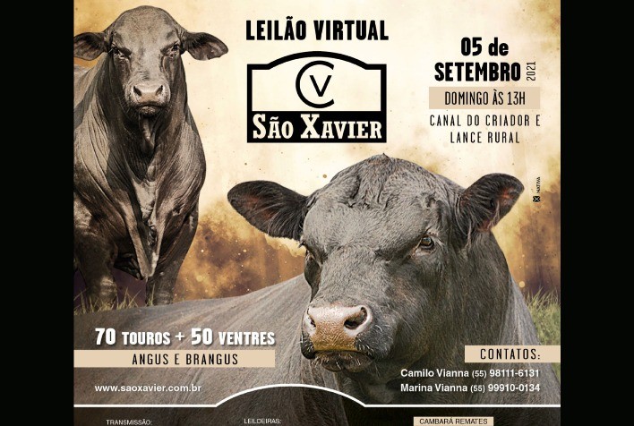 São Xavier colocará em pista animais Angus e Ultrablack de alta genética