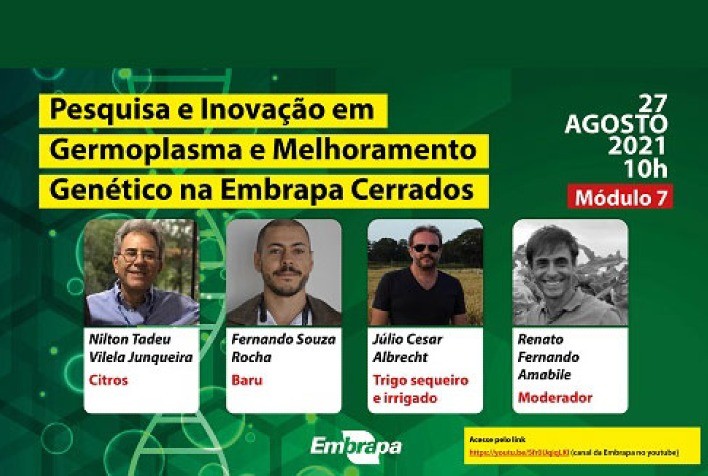 Melhoramento genético: seminário destaca programas de citros, baru e trigo sequeiro e irrigado