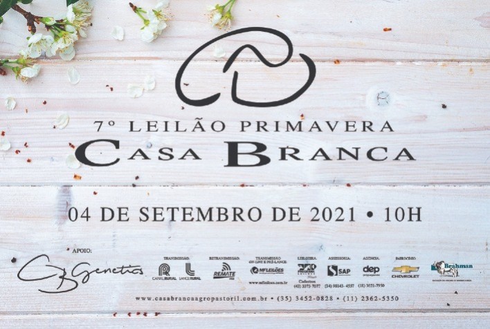 Casa Branca fará oferta de mais de 100 exemplares Angus