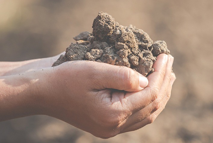 Estudo de doutorado recebe apoio da Satis para desenvolvimento de biofertilizante