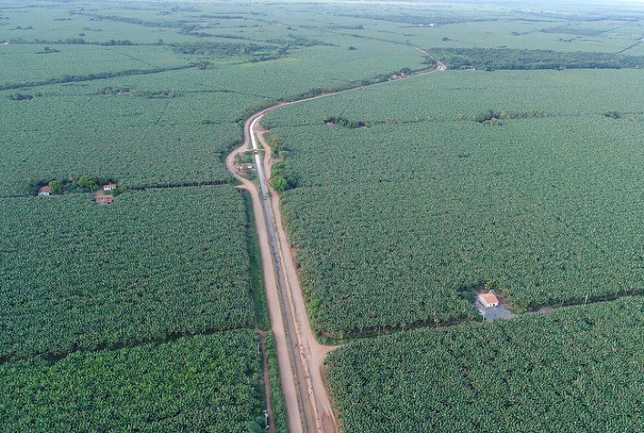 Codevasf abre licitação para lotes agrícolas em projeto público de irrigação na Bahia