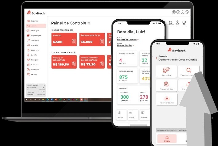 Ideagri lança Bovitech, software dedicado à pecuária de corte