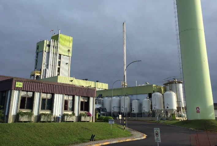 Faturamento da Novozymes BioAg no Brasil já teve crescimento de 64% se comparado com total de 2020